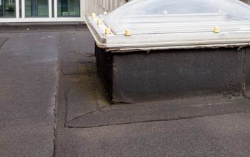 disadvantages of Borrowby flat roofs
