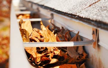 Borrowby gutter cleaning companies