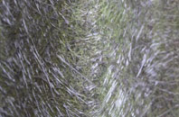 Borrowby fibreglass roof work